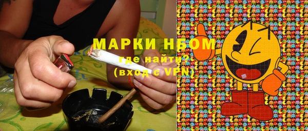 амф Богородск