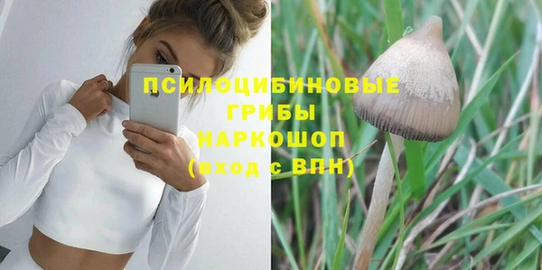 МДПВ Остров