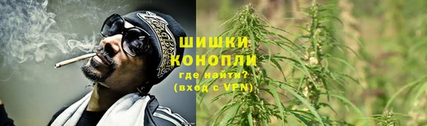 амф Богородск