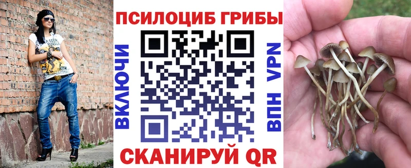Псилоцибиновые грибы мицелий  omg онион  Пыть-Ях 